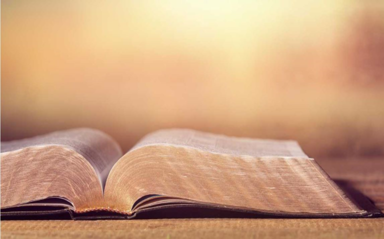 XXII SUNDAY IN ORDINARY TIME (YEAR B)