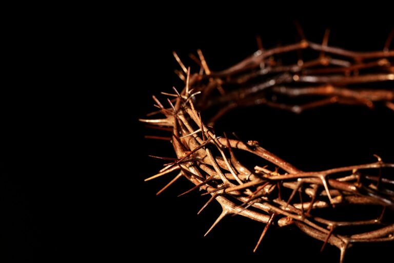 THIRTY-FOURTH SUNDAY IN ORDINARY TIME (YEAR B)
