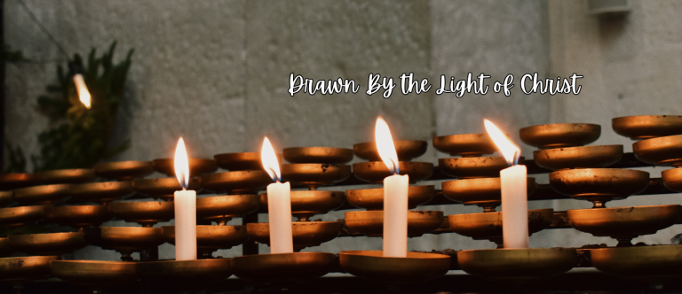 Drawn by the Light of Christ