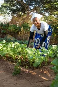 Hope in action: The Mpika Maize Mill Project