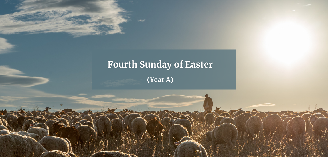 FOURTH SUNDAY OF EASTER (YEAR A)
