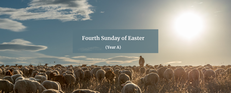 FOURTH SUNDAY OF EASTER (YEAR A)