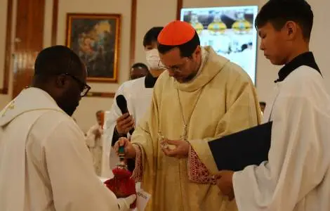 “Without priests, we would not have the fullness of the sacramental encounter with the living and risen Christ”